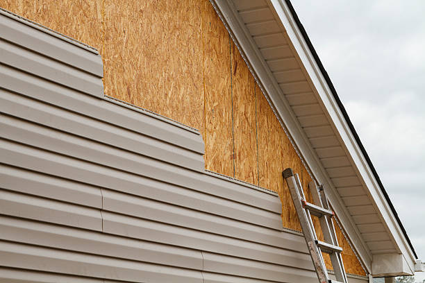 Professional Wood Siding technician working in Wharton, OH